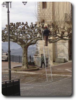 Piazza Ernesto Capocci (30/01/2008)