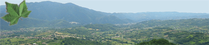 ValDiComino.it - Le portail de la Vall�e de Comino