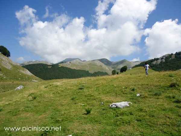 Promenade au Prati di Mezzo